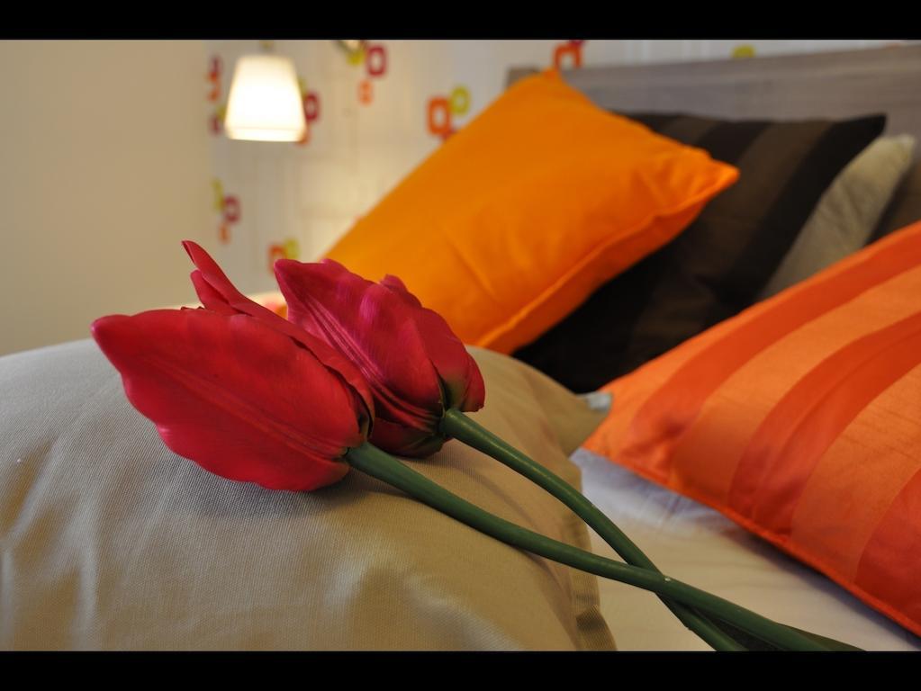 Just Colosseum Suite Rom Rum bild